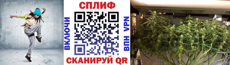 Купить наркоту Иннополис A-PVP Мефедрон ГАШИШ Экстази КОКАИН